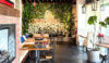 Interior dining room at Home Plate with fireplace, living plant wall, and pendant lighting, Lombard Street, Marina District, San Francisco CA